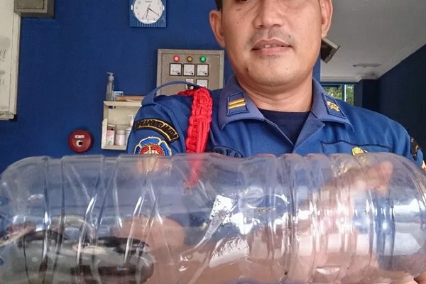  Wali Kota Depok Terbitkan Surat Edaran Soal Ular