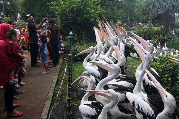  Ragunan Diserbu 54 Ribu Pengunjung