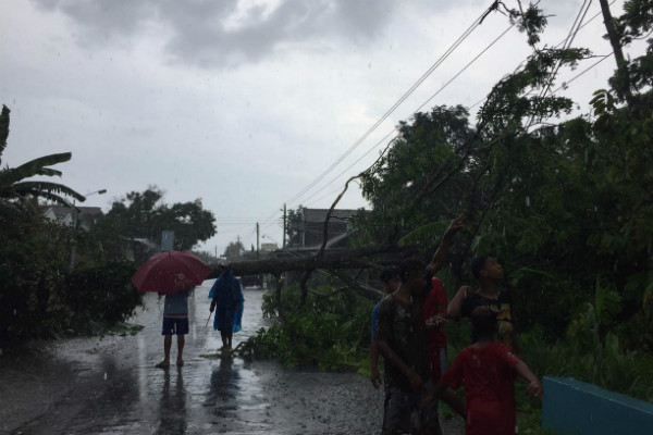  Hujan Es Landa Desa di Sleman, Pohon Tumbang Terjadi di Sejumlah Wilayah