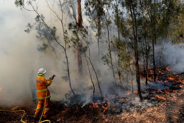  Kebakaran Hutan Terus Terjadi, Pemerintah Australia Siapkan Kompensasi untuk Relawan