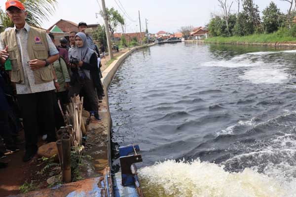  Cek Tiga Pompa Pekalongan, Ganjar : Penanganan Banjir Belum Tuntas