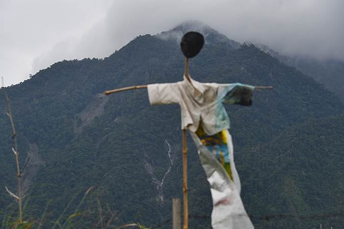  ‘Dipaksa’ Tokoh Papua Nilai Keabsahan Pepera 1969, MK Tidak Mau