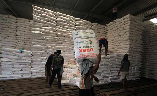  STOK PUPUK BERSUBSIDI