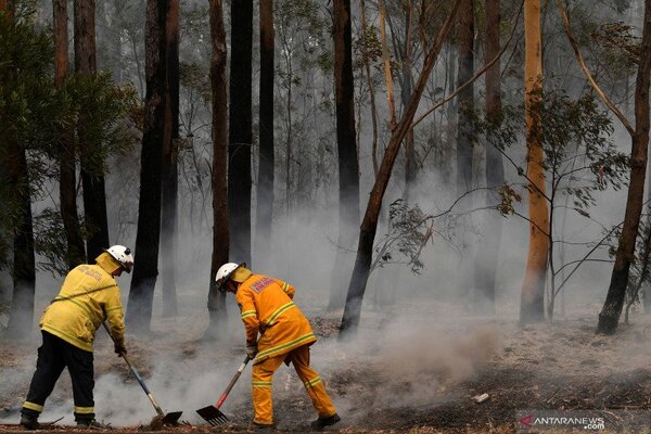  Korban Kebakaran Hutan di Australia Bertambah