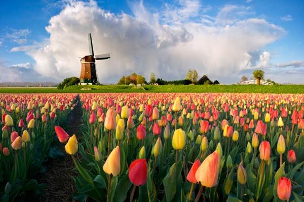  Overtourism, Belanda Hapus Sebutan Holland Mulai Tahun Ini