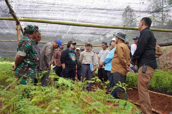  Menteri LHK: 225 Kebun Bibit Desa Siap Hijaukan Bogor dan Lebak