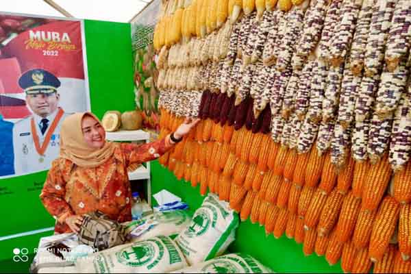  Musi Banyuasin Kembangkan Varietas Jagung Ketan