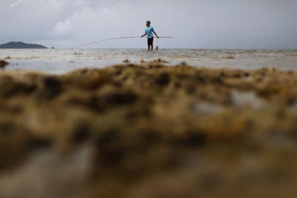 Seorang anak bermain di tepi pantai Pulau Natuna Besar di Provinsi Kepulauan Riau/Reuters