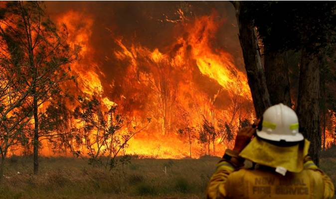  Fixed! Kebakaran Hutan di Australia akibat Perubahan Iklim