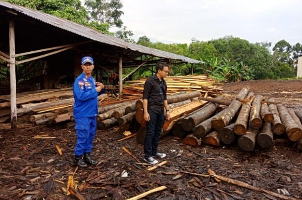  Polisi Sita 850 Batang Log dan Kayu Olahan Ilegal