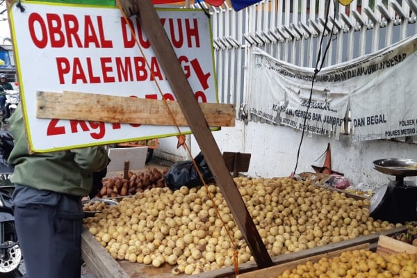  Sudah Musimnya, Ayo Berburu Duku Palembang di Kramat Jati