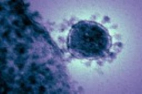  AS Konfirmasi Lima Kasus Positif Virus Corona