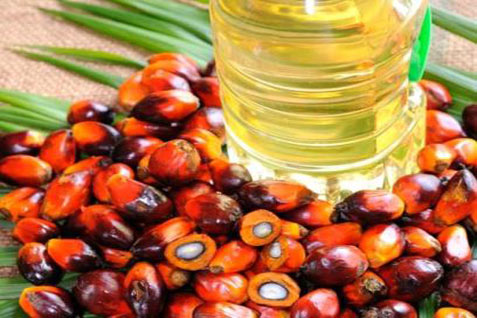  Pemerintah Cari Sumber Insentif untuk Pemanfaatan Bioetanol