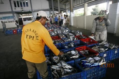  Indonesia Akan Hentikan Impor Ikan Jika Terpapar Virus Corona