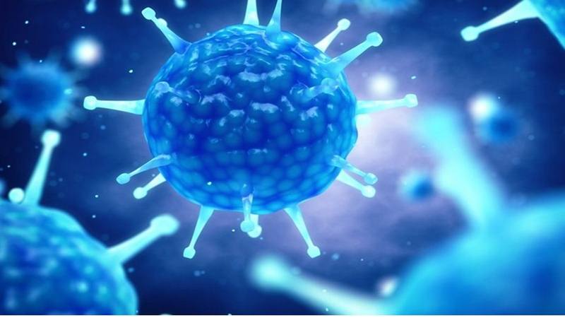  Ilmuwan Australia Ciptakan Virus Corona Wuhan