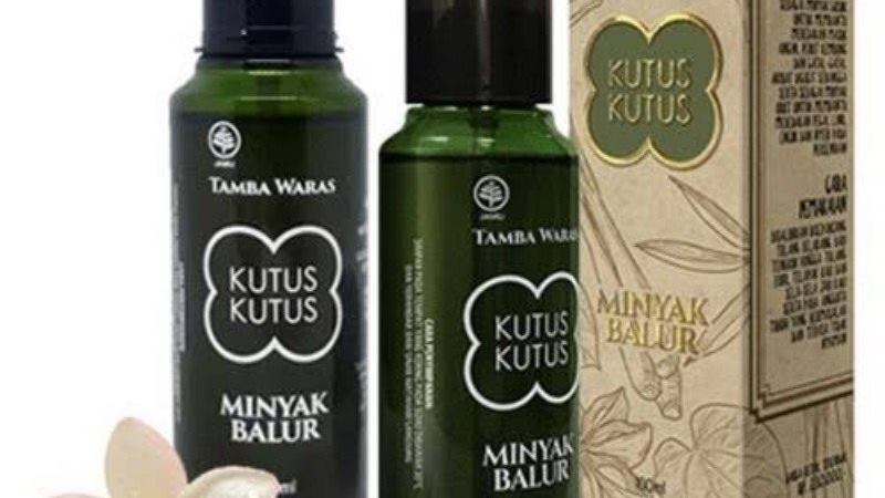  Ekspansi ke Eropa, Produsen Kutus Kutus Beli Kastil di Belanda