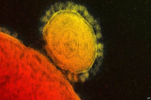 Virus Corona penyebab sindrom pernapasan MERS/bbc.co.uk