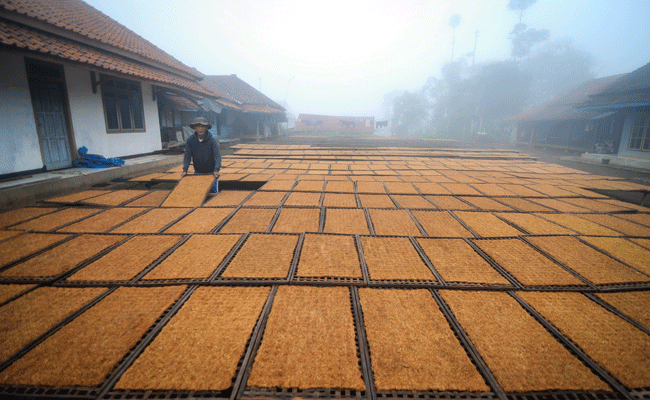  DAMPAK KENAIKAN CUKAI ROKOK