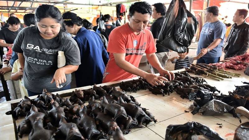  Virus Corona Bikin Pedagang di Pasar ‘Ekstrem’ Tomohon Tak Lagi Jual Kelelawar dan Ular