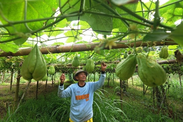  Jateng Dorong Optimalisasi Penyerapan Dana Desa