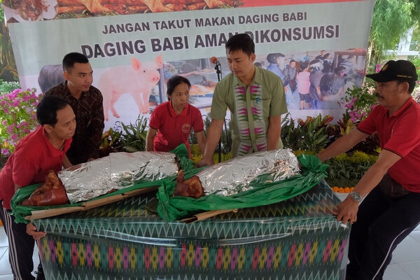  Redam Kekhawatiran Soal Demam Babi Afrika, Ini Langkah Bali