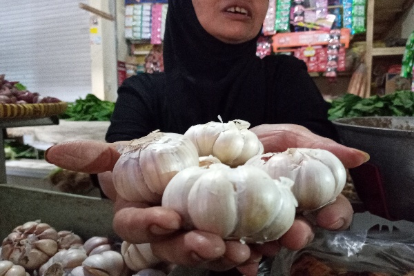  Harga Bawang Putih di Kabupaten Cirebon Capai Rp55.000