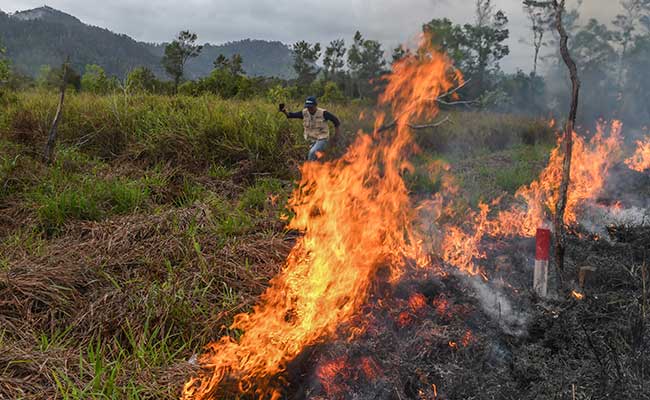  KEBAKARAN LAHAN DI NATUNA