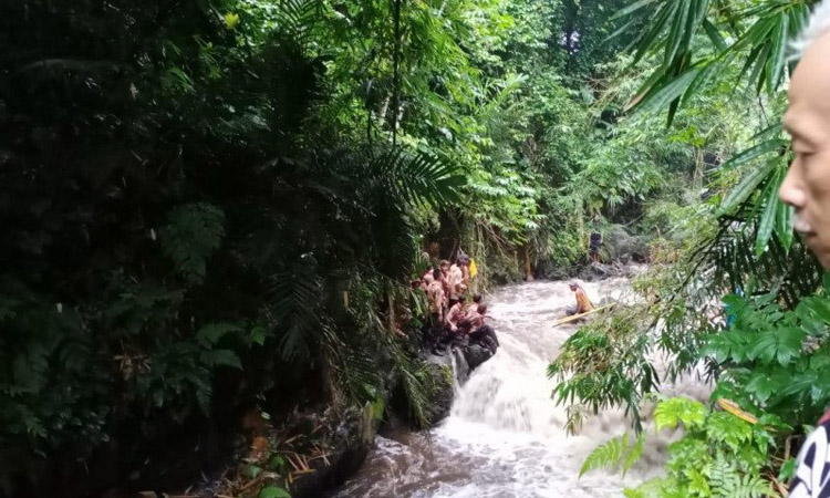 Upaya pencarian siswa SMPN 1 Turi yang hanyut terseret arus banjir Sungai Sempor di Kecamatan Turi, Kabupaten Sleman pada Jumat (21/2/2020)./ ANTARA-Rony Arya