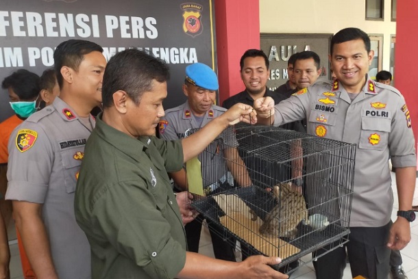  Polres Majalengka Tangkap Pelaku Penjual Satwa Dilindungi