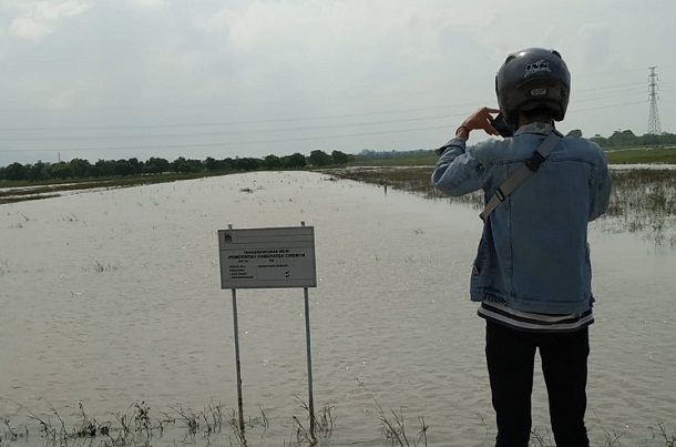  60 Hektare Sawah Terendam Banjir, Petani Cirebon Diminta Tanam Ulang