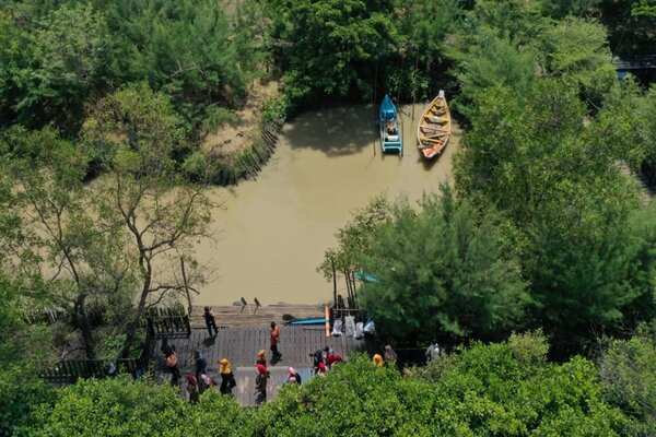  Pemkot Surabaya Larang Pengunjung Mangrove Bawa Plastik