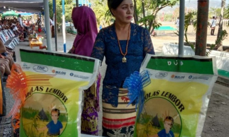  Molas Lembor, Beras Premium Lokal yang Jadi Primadona Warga NTT