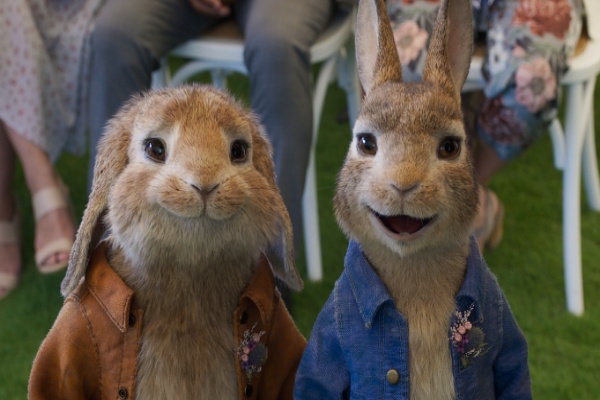  Jadwal Tayang Film Peter Rabbit 2 Mundur Karena Virus Corona