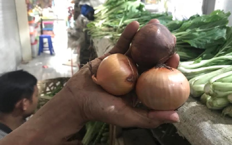  Harga Bawang Bombay di Kabupaten Cirebon Tembus Rp110.000 per Kilo