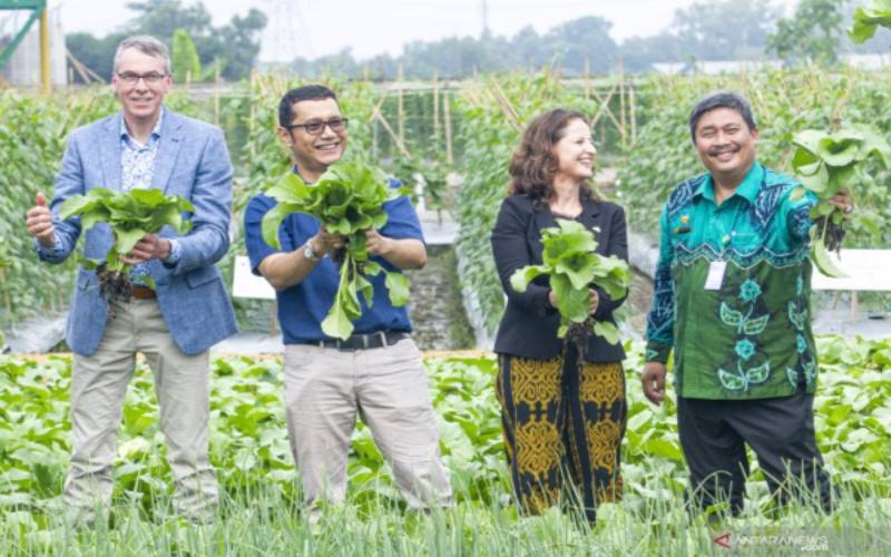  Wamen Pertanian Belanda Nilai Produksi Benih Ewindo