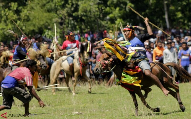  Warga NTT Diminta Tak Meramaikan Ritus Pasola