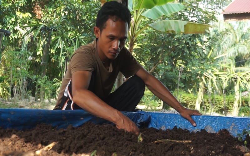  Sukses Membudidayakan Cacing, Kristianto: Ini Bisa Menjadi Alternatif Income Bagi Petani Sawit