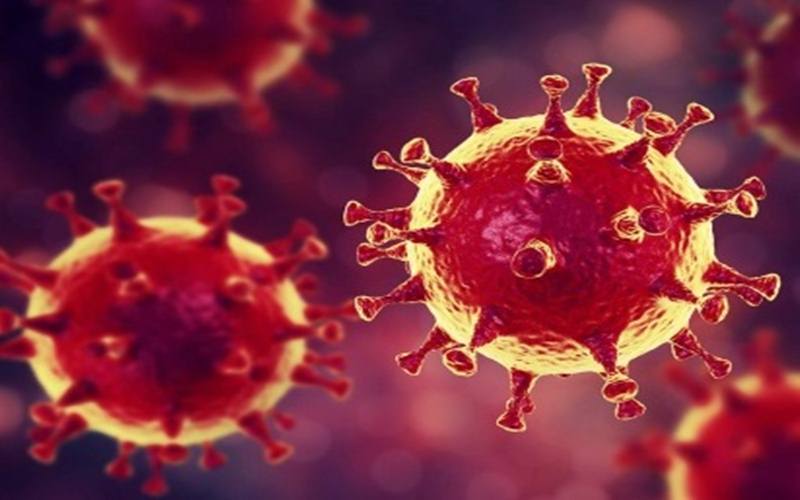  Tim Pakar Covid-19: Penyakit Virus Corona Dapat Sembuh Sendiri