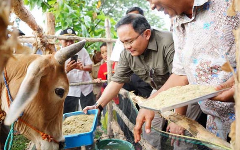  Musi Banyuasin Kembangkan Sekolah Peternakan Rakyat