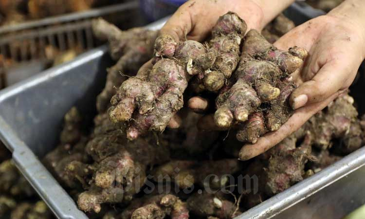  Virus Takut dengan 5 Makanan Ini