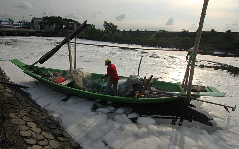  BUSA PUTIH DI SUNGAI TAMBAK WEDI