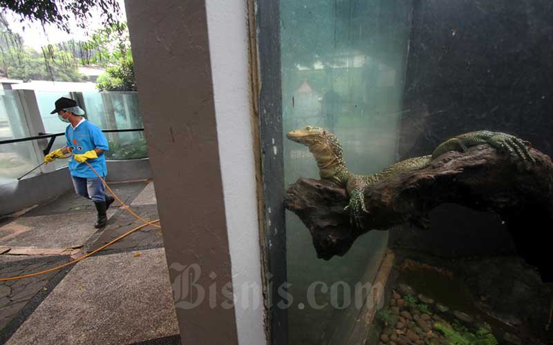  Viral Bilik Disinfeksi Penyebab Kanker, Begini Penjelasan Pakar