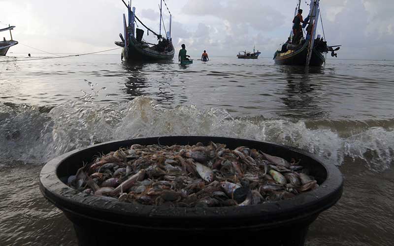  PENJUALAN UDANG TERKENDALA COVID-19