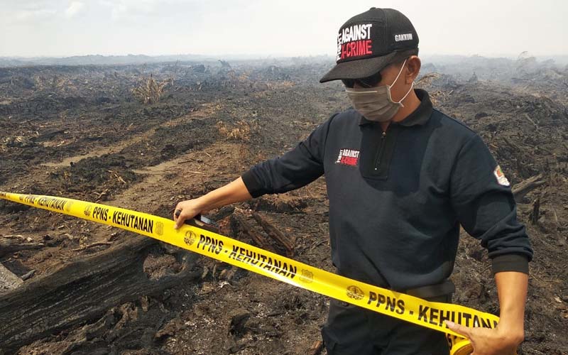  Disidik Gakkum KLHK, Kasus Karhutla PT Kumai Sentosa Segera Disidangkan