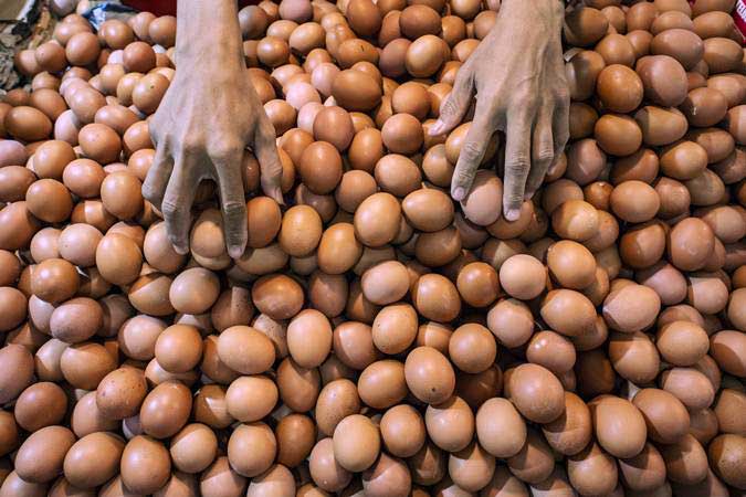  Harga Telur Ayam di Cirebon Capai Rp25.000 per Kilo