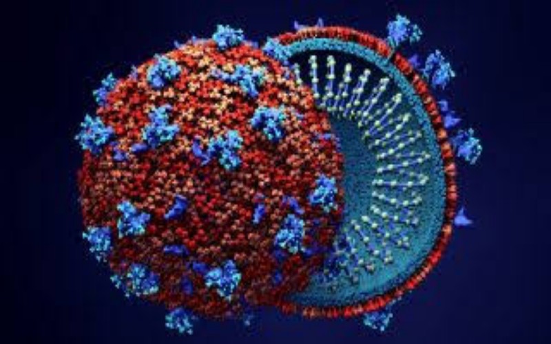  Update Virus Corona Global: Angka Kematian di AS Tembus 10.000