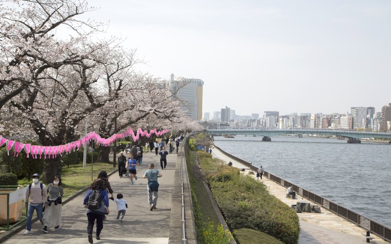  Usai Tetapkan Status Darurat, Ekonomi Jepang Diproyeksi Susut 25 Persen 
