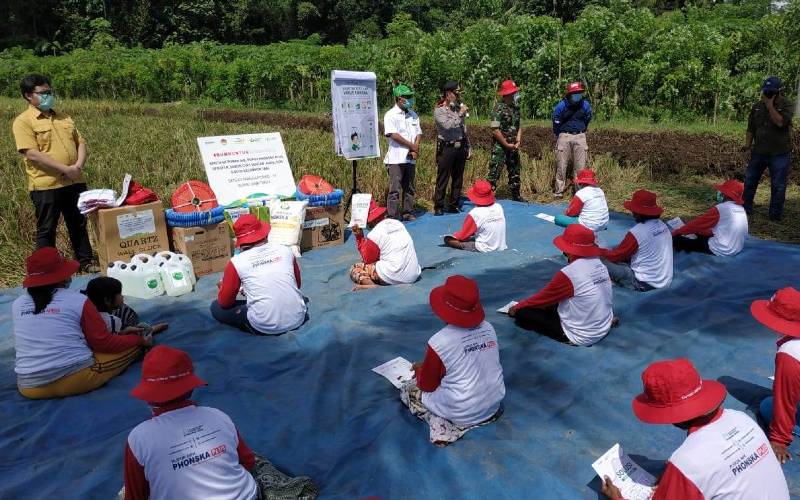  Petrokimia Gresik Gelar Panen Padi, Produktivitas Lahan Naik 20%