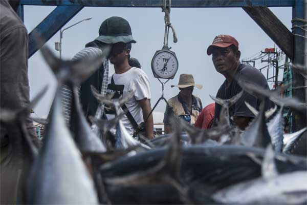  Pasokan Ikan Melimpah, KKP Berikan Stimulus