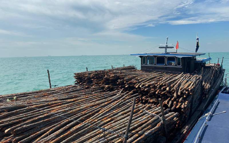  Bea Cukai Kepulauan Riau Amankan Kapal Pengangkut Kayu Ilegal